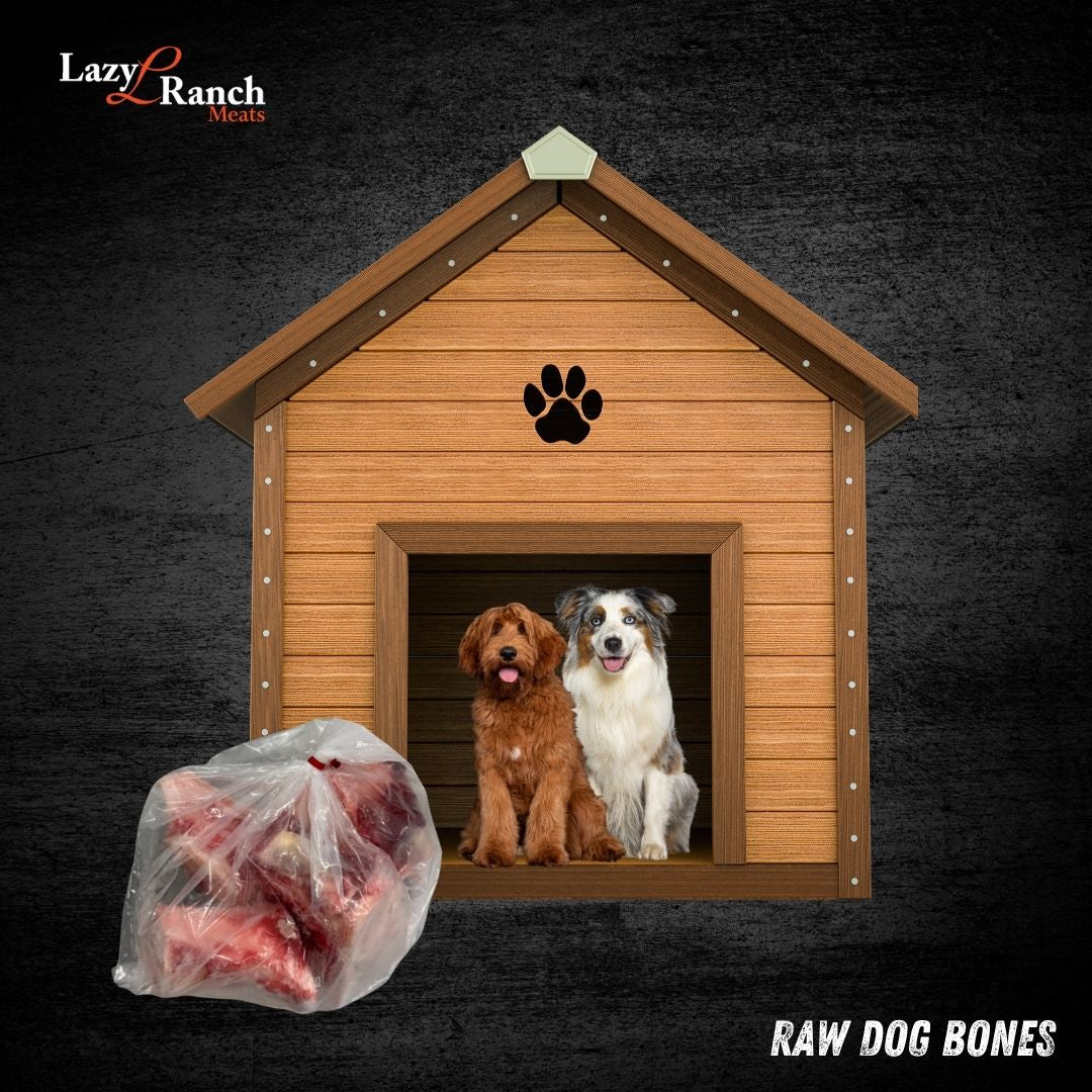 Dog Bone